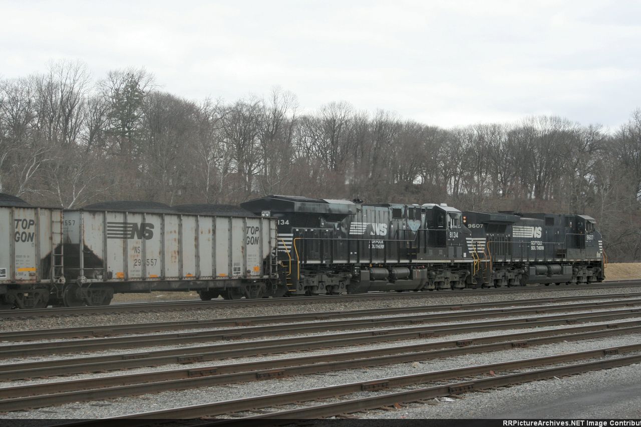 NS 8134